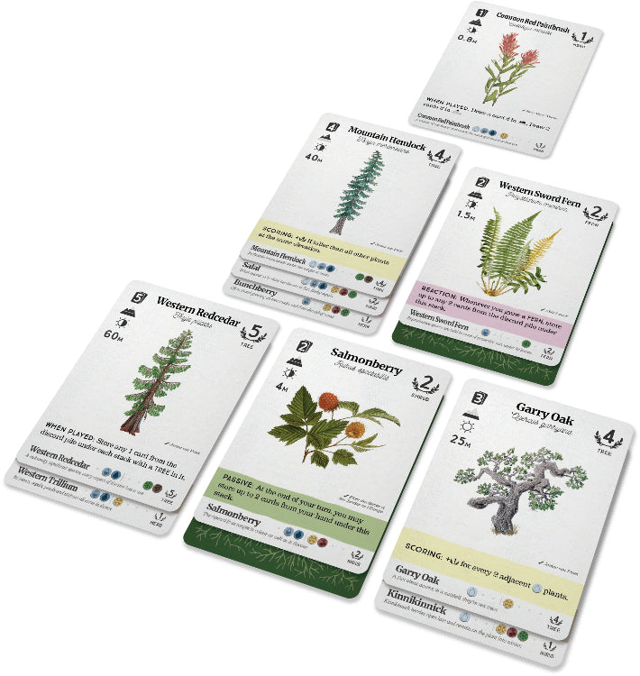 Reforest - Plants of the Pacific Northwest Coast